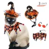 Cat Costumes Halloween Pet Scarf Hat Set Funny Cat Glasses Set Costumes for Small Dogs Cosplay Bat Wings Criniere De Lion Chat 231011