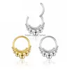 Näsringar Studs Septum Piercing Titanium Nose Ring Hoop Clips Helix Earrings Woman Tragus Industrial Brosk LaBret Hinge Segment DHC9E