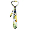Arco laços pássaros tropicais gravata papagaios e folhas de palmeira festa de casamento pescoço engraçado para colar masculino gravata presente de aniversário