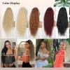 Lace Wigs AISI BEAUTY Synthetic Long Wavy tail for Women Blonde Black Red Drawstring tail Clip-In Hair 231012