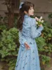 Casual Dresses Spring Autumn Women Blue Princess Fairy Dress Bow Collar Birds Mönster Tryckt Chiffon Elegant Feminine Pleated Midi