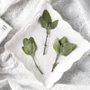 Decorative Flowers 6-10cm/24pcs Nature True Leaves Pressed Flower Material DIY Mobile Phone Shell Po Frame Bookmark Greeting Card