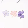 Decorative Flowers 250pcs Pressed Dried Flower Consolida Gaura Lindheimeri Filler Epoxy Resin Jewelry Making Postcard Frame Phone Case Craft