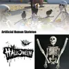 Poseable Casa Encantada Cuerpo de Terror Decoración de Halloween Prop Artesanía Hogar Colgante Esqueleto Humano Artificial Fiesta de Tamaño Completo Y22664