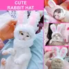 Cat Costumes Funny Cat Dog Headgear Costume Cap Rabbit Bunny Plush Hat Performance Headdress Ear Cosplay Po Party Shitzu Spitz Accessories 231011