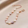 Charm Bracelets Natural Freshwater Pearl Bracelet For Girls Stargirl Choice Day Golden Women Accessories