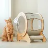 Letti per gatti Mobili Capsula spaziale per gatti in legno con cuscino Cameretta moderna per gatti trasparente Acrilico Lettino per piccoli animali domestici Gatti Tunnel chiuso Mobili per cani 231011