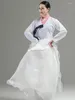 Abbigliamento etnico 2023 donne di stile Hanbok vestito da spettacolo di danza coreana gonna da pratica femminile dimensione personalizzata