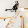 Cat Furniture Scratchers Cat Wall Climbing Frame Wall Mounted Cat Tree Furniture Wooden Stairway Shelves for Cats Perches Activity Cat Scratching Post 231011