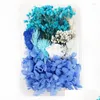 Decorative Flowers Mixed Natural Dried Material Diy Art Floral Decors Collection Gift Craft Home Decoration Pressed Dhvxq