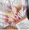 Flores decorativas 12 buquê/conjunto de cores misturadas, lavanda, rabo de coelho, flor artificial, grama de pampas, planta falsa, boho, sala de festa de casamento