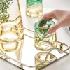 Tubllers Nordic Glass Water Bottle Bottle Sok Pitcher Pitcher Transpare Gradient Zimne dzbanki Kettle Herbata Puchar