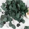 Fleurs décoratives 100g feuilles d'eucalyptus naturelles préservées bouquet de feuilles de pomme séchées pour la décoration de fête de mariage chambre à coucher maison Dhias