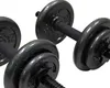 Balls Barbell 40 Lb Adjustable Cast Iron Dumbbell Set Fitness Equipment 231013