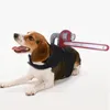 Colliers pour chiens, vêtements créatifs pour animaux de compagnie, accessoires amusants et réglables pour Halloween, couteau à marteau, fournitures pour bouteilles de vin