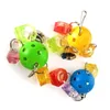 Other Bird Supplies Dorakitten 3Pcs Parrot Hanging Ball Toys Bite Resistant Ring Toy Pet Random Color