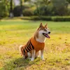 犬のアパレルペットハロウィーンの服の温かいカジュアルセーター小さな中程度の大きな犬コスチュームテディ子犬秋の装飾具体