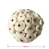 Other Bird Supplies D0AD 3 Count Hamster Chew Toy Foraging Sola Balls Soft Shreddable For Conure Peony