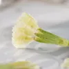 Dekorativa blommor 2-3 cm/24 st naturliga förhandsblommor Kronblad Acacia Plum Torked Tiny prägling DIY Bokmärke Bröllop Facial Home Decoration