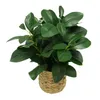 Fleurs décoratives plante Peperomia artificielle dans un panier en osier naturel Plantas Vases pour la décoration de la maison cadeau maman Pompass herbe tissu Mini