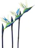 Decorative Flowers Artificial Bird Of Paradise Rubber Strelitzia 32'in Long Stem Flower 3 Pcs Suitable For DIY Home Decoration Party Theme