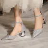 Dress Shoes Luxury Gold Silver Sequins High Heels Pumps Women Pointed Toe Ankle Straps Wedding Woman Thick Heeled Party