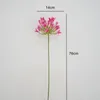 Decorative Flowers Useful European Style High Quality Artificial Agapanthus Flower Portable Fake Widely Use For Living Room