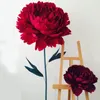 Fiori decorativi Grandi peonie di carta Decorazione di nozze Testa di fiore di rosa Decorazioni per finestre Puntelli