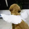 Rolig husdjur Halloween Feather Wings Pet Halloween Costume Cosplay Angel Devil Wing for Dog Cat Black White Pet Clothes H0910205E