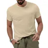 Men's Polos 2023 Summer Foreign Trade Solid Color Cloud Spun Short-sleeve T-shirt Quick Dry Round Neck Top