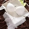 Ensemble de soutien-gorge tongs sexy pour femmes, lingerie en dentelle brodée, 6 couleurs, grande taille, bonnet ABC, soutien-gorge push up et culotte, set281p