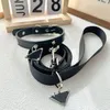 Designer Huisdierenbenodigdheden Halsband Trekkabel Schnauzer Teddy Halsring voor kleine honden Huishoudelijke sleepkabels Dierbenodigdheden Hondenaccessoires 2310162