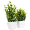 Dekorativa blommor 2 datorer Artificial Potted Tabletop Faux Plants Indoor Vase Home Bonsai False Plastic Office Mini