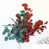 Fleurs décoratives 100g feuilles d'eucalyptus naturelles préservées bouquet de feuilles de pomme séchées pour la décoration de fête de mariage chambre à coucher maison Dhias