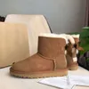 Ontwerpers snowboots australische dames tazz laars bailey dune kastanje wintergesp bont sneeuw halve knie korte dames schapenvacht en wol geïntegreerde tasman haar slipperby