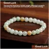 Charm Bracelets Charm Bracelets Stone Jade Women Beaded Bangle Crystal Semi Precious Jadeite Energy Healing Elastic Hand Chain Jewelry Dhcla