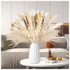 Flores decorativas boho decoração de casa caudas secas buquê de phragmites para casamento quarto sala de jantar arranjos diy decoração