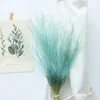 Fleurs décoratives 400 pièces herbe de plumes séchées fleur préservée sèche naturelle plante immortelle fête bouquet de mariage décoration de table à la maison