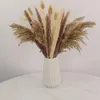 Flores decorativas boho decoração de casa caudas secas buquê de phragmites para casamento quarto sala de jantar arranjos diy decoração