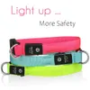 Collari per gatti Guinzagli Collare per gatti Ricarica USB Led Sicurezza per animali domestici Cani luminosi Collare luminoso Collana in nylon Guinzagli luminosi per cani di piccola taglia Sicurezza notturna 231011