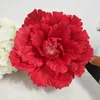 Flores decorativas aqumóticas 1ft enorme cabeça de flor artificial fundo decoração de parede pátio decoração de seda para festa de casamento