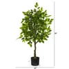 Decorative Flowers Ficus Artificial Tree Green Pressed Fake Korean Room Decor Girlfriend Gift Vases For Centerpieces Weddings