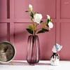 Vase Nordic Creative Flower Ribbed Glass Glass Vase Porch Ardanchホームライトラグジュアリーソフトデコレーションプラントホルダー