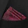 Cravat Pocket Square Square ClankerChief Associory Paisley Solid Colors Vintage Business Suit Hanky ​​Frict Darf 25*25cm 231012