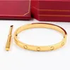 Braceuse de concepteur Bracelet Bijoux de luxe Brangle Brangle 18k Gold plaqué en titane en acier pour femmes hommes argentés Bracelets classiques fête Lovew Gift Bangles TT