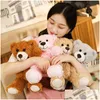 Plush Dolls Teddy Plush Doll Cute Small Bow Tie Bear Cartoon Seven-Color Animal Childrens Toy Christmas Girl Birthday Gift Toys Gifts Dhsbf