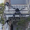 Inne imprezy imprezowe Black White Halloween Spider Giant Elasty Abbeb dla domu Haunted House Przerażające rekwizyty Horror Halloween Party Dekoracje 231013