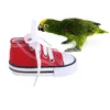 Andere vogelbenodigdheden Papegaaispeelspeelgoed Vogels Mini canvas schoenen Bijtdecoratie Hangende kooi Leuke knutselaccessoires Huisdierartikelen