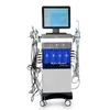 Big Power Oxygen Spray Multi-Function Hydra Facial Machine Vertical Beauty Equipment 14 I 1 Oxygen Jet Skin Drawing Anti-Wrinkle Hydrafacial Device