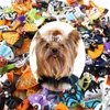 Vêtements de chien Halloween Chiens de compagnie Bowknot Bowknot Bows Citrouille Toilettage Bande de caoutchouc Accessoires de chiot pour petit couvre-chef Peigne Épingle à cheveux